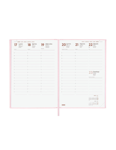 FINOCAM AGENDA ANUAL DYNAMIC LONDON Y10-140X204MM SVV ROSA 2025