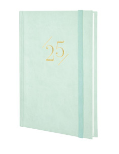 FINOCAM AGENDA ANUAL DYNAMIC LONDON Y10-140X204MM SVV MENTA 2025