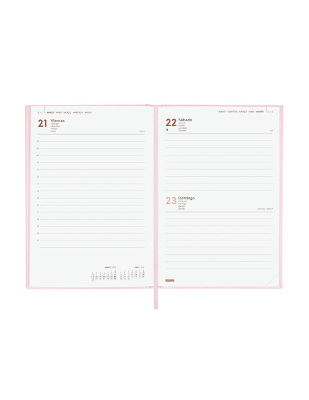 FINOCAM AGENDA ANUAL DYNAMIC LONDON Y10-140X204MM 1DP ROSA 2025