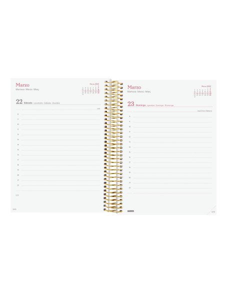 FINOCAM AGENDA ANUAL DESIGN COLLECTION ESPIRAL E10-155X212MM 1DP GOLDY 2025