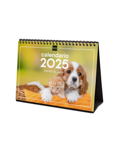 FINOCAM CALENDARIO DE SOBREMESA PARA ESCRIBIR S-210X150MM IMÁGENES PERROS Y GATOS 2025