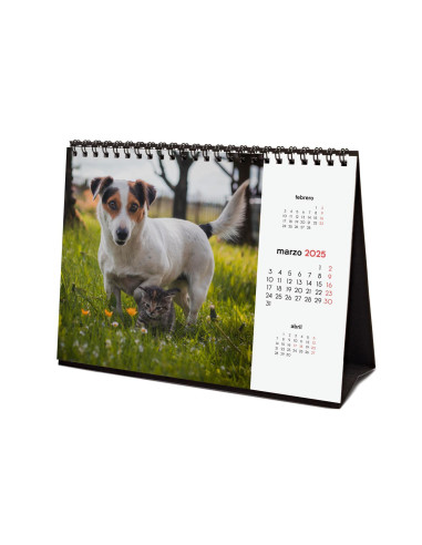 FINOCAM CALENDARIO DE SOBREMESA PARA ESCRIBIR S-210X150MM IMÁGENES PERROS Y GATOS 2025