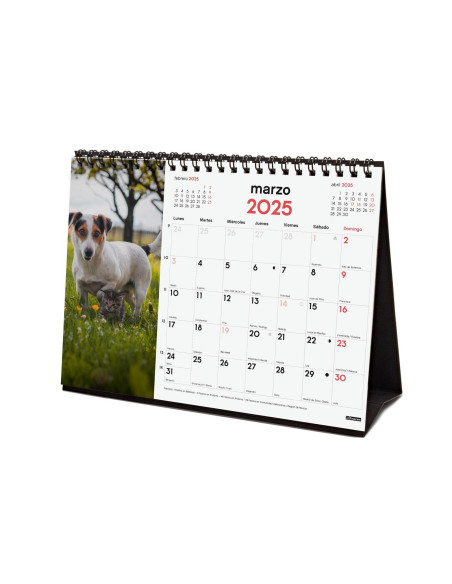 FINOCAM CALENDARIO DE SOBREMESA PARA ESCRIBIR S-210X150MM IMÁGENES PERROS Y GATOS 2025