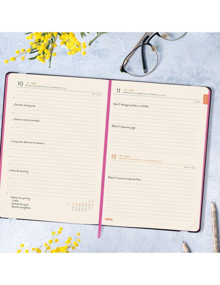 FINOCAM AGENDA ANUAL FLEXI JOY FA5-148X210MM 1DP BLOOM 2025