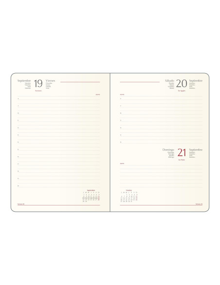 DOHE AGENDA ANUAL SAMBA 15X21CM DP AZUL 2025