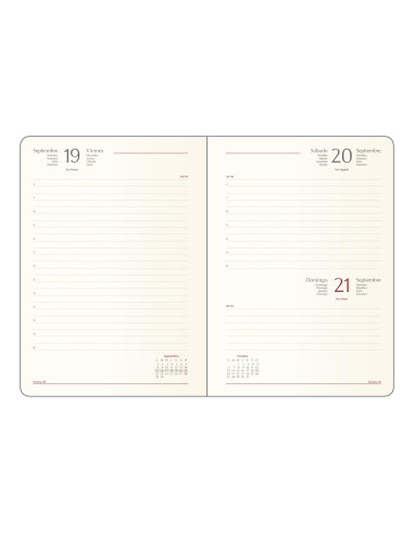 DOHE AGENDA ANUAL SAMBA 15X21CM DP CIERRE CGOMA CÁMEL 2026