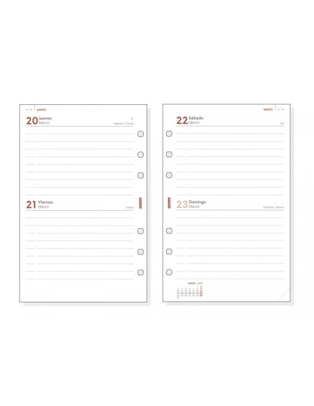 FINOCAM RECAMBIO ANUAL OPEN R597 500-117X181MM 2DP 2025