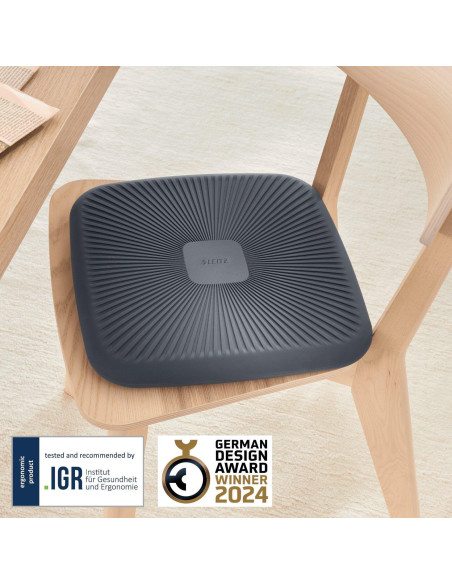 COJÍN DE ASIENTO LEITZ WOBBLE ACTIVE ERGO