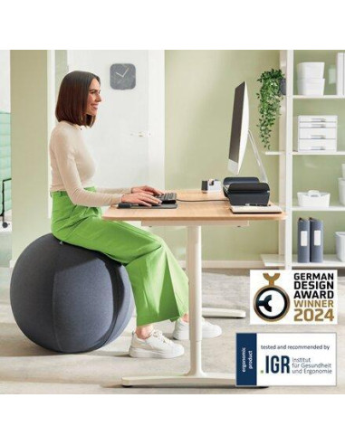 BOLA ASIENTO LEITZ ERGO ACTIVE  75cm