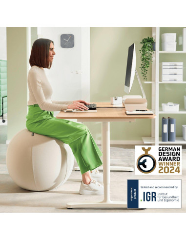 BOLA ASIENTO LEITZ ERGO ACTIVE  75cm