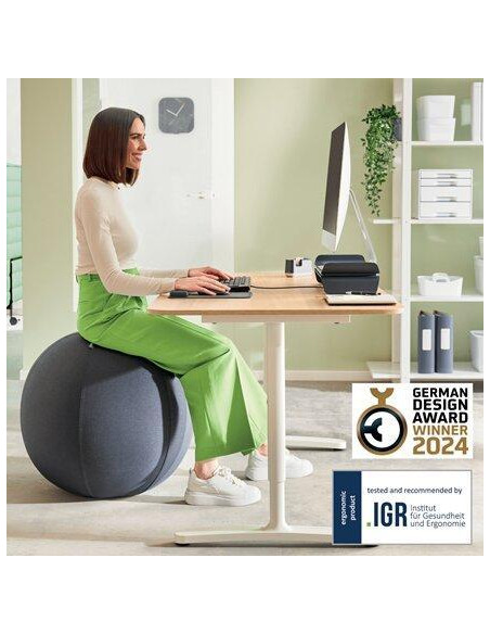 BOLA ASIENTO LEITZ ERGO ACTIVE  65cm