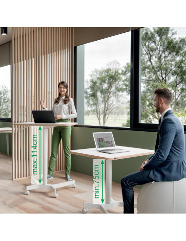 ESCRITORIO COMPACTO LEITZ ERGO SIT-STAND NEUMÁTICO