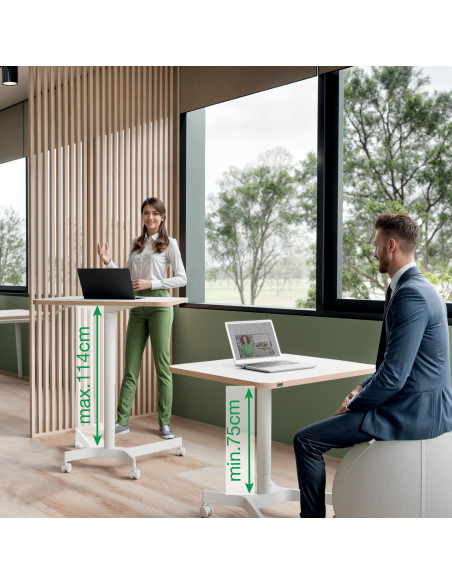 MESA LEITZ ERGO ELEVABLE NEUMATICA