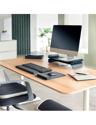 SOPORTE PARA MONITOR LEITZ ERGO AJUSTABLE