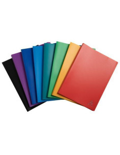 CARPETA EXACOMPTA 20 FUNDAS A4 FLEXIBLES 2