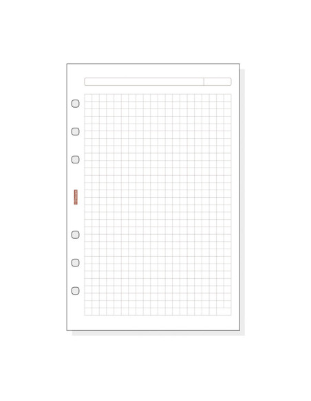 RECAMBIO AGENDA FINOCAM 50h CUADRÍCULA R540