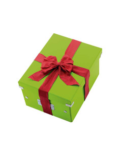 CAJA LEITZ CLICK & STORE WOW M 2