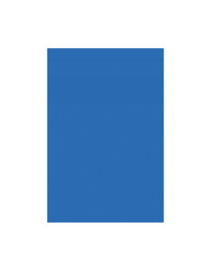 PACK 10h GOMA EVA CARCHIARTS 45x60cm 2