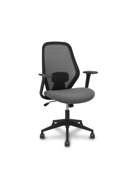 SILLA ERGO529 CON BRAZOS FIJOS