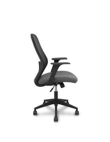 SILLA ERGO529 CON BRAZOS FIJOS