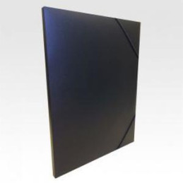 CARPETA DE GOMAS BLUERING...