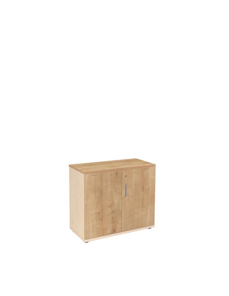ARMARIO DE MADERA ROCADA ESTRUCTURA HAYA
