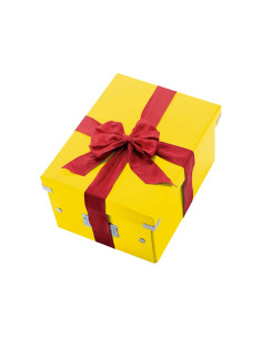 CAJA LEITZ CLICK & STORE WOW M 2