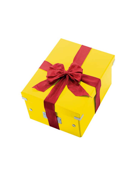 CAJA LEITZ CLICK & STORE WOW M