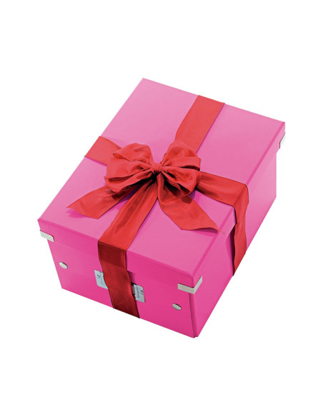 CAJA LEITZ CLICK & STORE WOW M