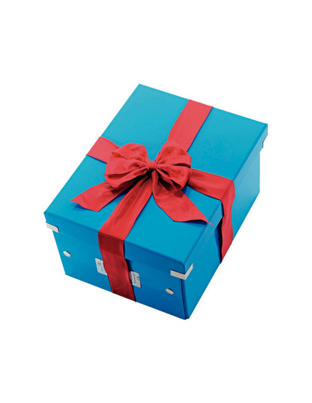 CAJA LEITZ CLICK & STORE WOW M