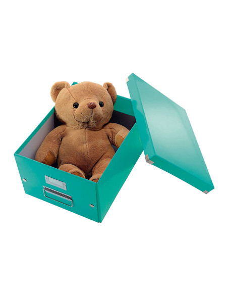 CAJA LEITZ CLICK & STORE WOW M