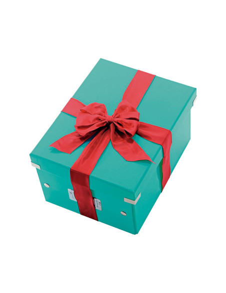 CAJA LEITZ CLICK & STORE WOW M