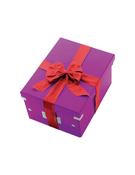 CAJA LEITZ CLICK & STORE WOW M