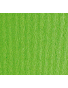 PACK 20h CARTULINA LISA/RUGOSA FABRIANO 50x70cm