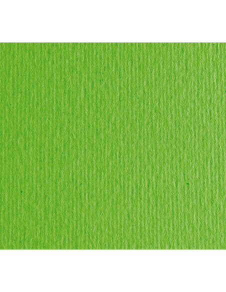PACK 20h CARTULINA LISA/RUGOSA FABRIANO 50x70cm
