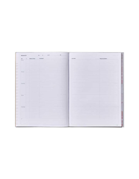 QUADERN PROFESSOR ADDITIO MEMO-NOTES A4 ASSORTIMENT CATALAN