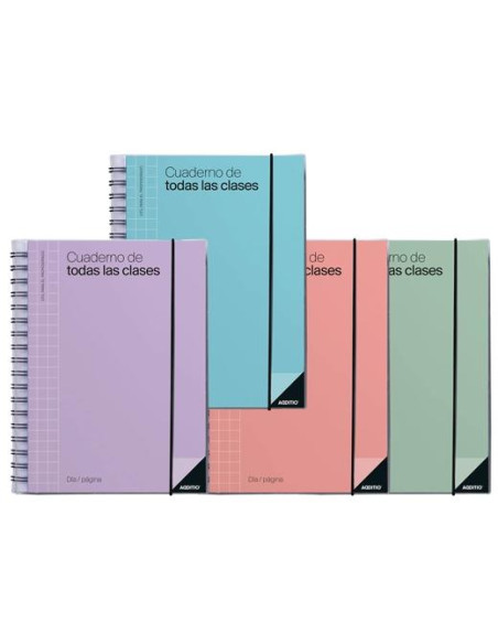 ADDITIO CUADERNO DE TODAS LAS CLASES PARA EL PROFESORADO DP ESPIRAL DOBLE 256 PÁGINAS PVC CSURTIDOS