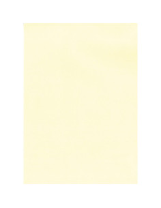 APLI PAPEL TEXTURA VERJURADO CREMA 220 GR TAMAÑO A4 - 20 HOJAS -