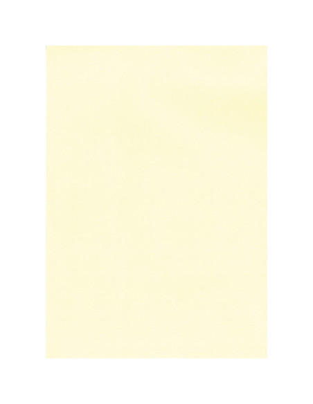 APLI PAPEL TEXTURA VERJURADO CREMA 220 GR TAMAÑO A4 - 20 HOJAS -