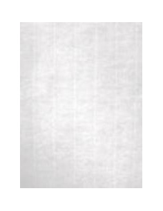 APLI PAPEL TEXTURA VERJURADO BLANCO 100 GR TAMAÑO A4 - 100 HOJAS -
