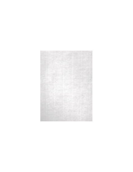 APLI PAPEL TEXTURA VERJURADO CREMA 100 GR TAMAÑO A4 - 100 HOJAS -