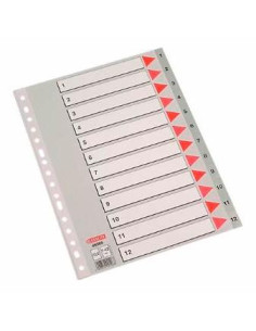 ESSELTE ÍNDICE NUMÉRICO MULTITALADRO 1-12 POLIPROPILENO FOLIO GRIS CON CARÁTULA ÍNDICE CARTÓN COLOR