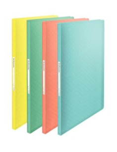 ESSELTE CARPETA CON 60 FUNDAS FIJAS COLOUR´ICE A4 POLIPROPILENO SURTIDOS TRANSLÚCIDOS