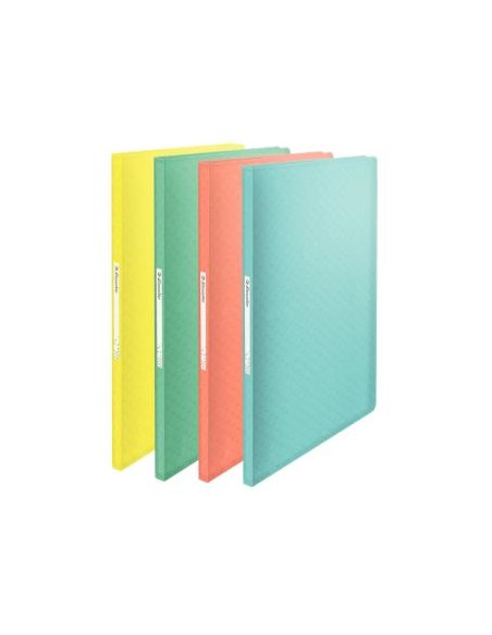 ESSELTE CARPETA CON 60 FUNDAS FIJAS COLOUR´ICE A4 POLIPROPILENO SURTIDOS TRANSLÚCIDOS