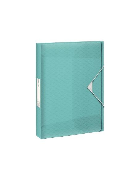 ESSELTE CARPETA DE PROYECTOS COLOUR´ICE CAPACIDAD ADICIONAL A4 POLIPROPILENO AZUL TRANSLÚCIDO