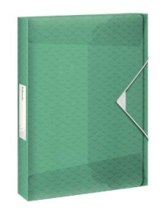 ESSELTE CARPETA DE PROYECTOS COLOUR´ICE CAPACIDAD ADICIONAL A4 POLIPROPILENO VERDE TRANSLÚCIDO