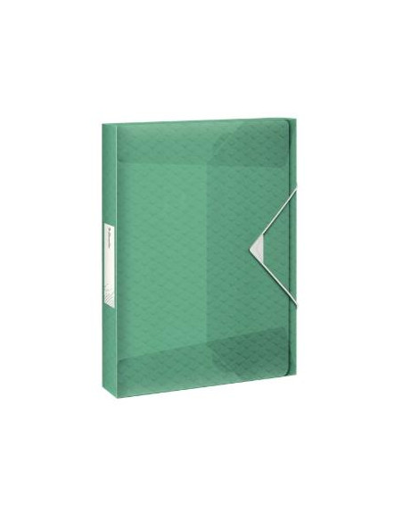 ESSELTE CARPETA DE PROYECTOS COLOUR´ICE CAPACIDAD ADICIONAL A4 POLIPROPILENO VERDE TRANSLÚCIDO