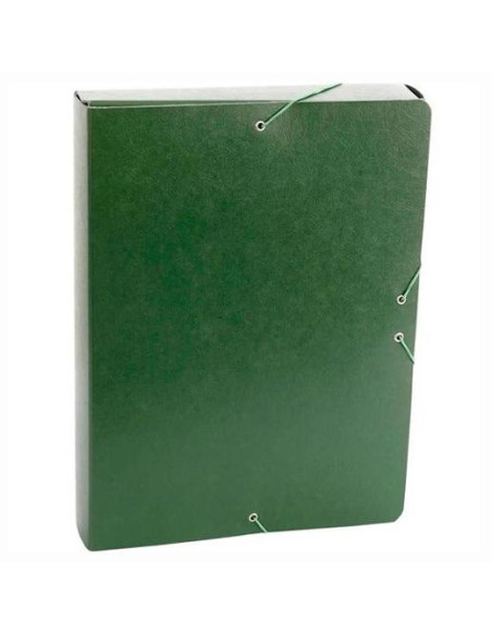 FABRISA CARPETA DE PROYECTOS 5CM MONTADA CARTON GOFRADO CON GOMAS FOLIO VERDE