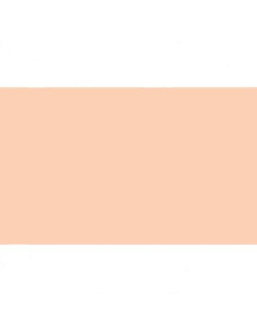 FAMA GOMA EVA 50X70CM GROSOR 2MM EB00 PIEL PACK 10 UD