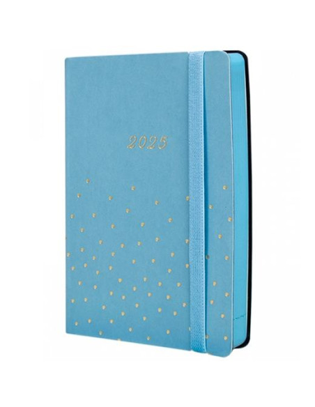 FINOCAM AGENDA ANUAL FLEXI JOY F4-118X168MM 1DP CONFETI 2025